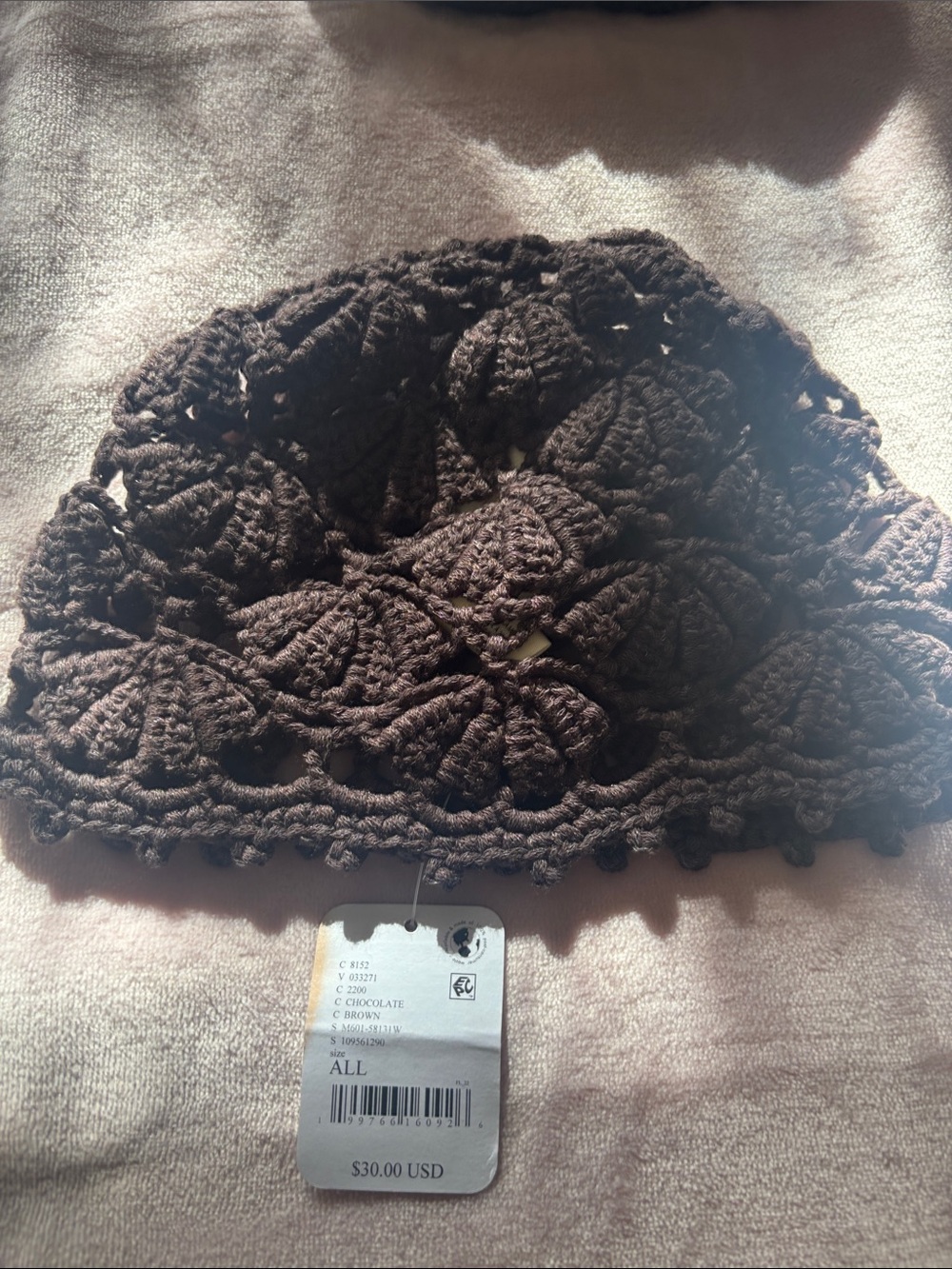 Free People Crocheted Chocolate Brown Beanie